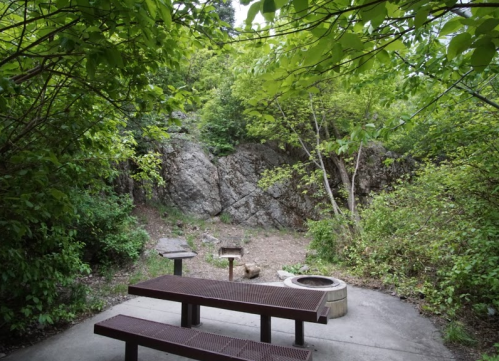 A secluded picnic area with a metal table, fire pit, and rocky backdrop, surrounded by lush greenery.