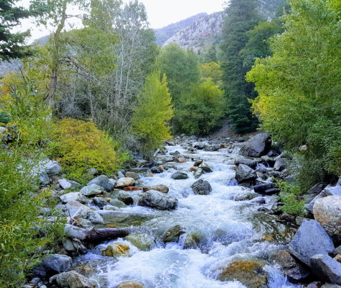 A serene river flows through a rocky landscape, surrounded by lush green trees and mountains in the background.