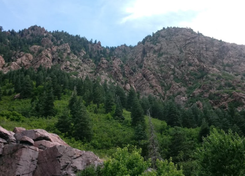 A rocky mountain landscape with dense green trees and a clear blue sky in the background.