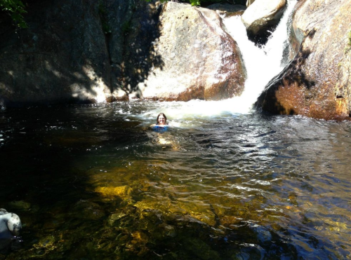 A person swimming in a natural pool near a waterfall, surrounded by rocks and greenery.