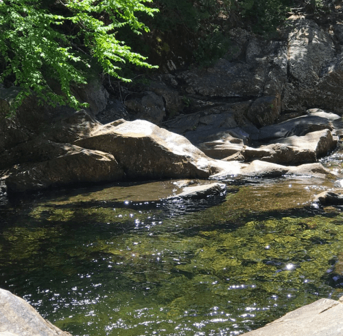 A serene natural scene featuring smooth rocks beside a clear, sparkling stream surrounded by lush greenery.