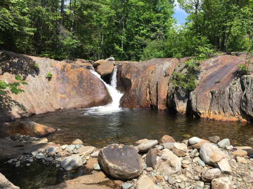 A serene waterfall cascades over rocky terrain into a clear pool, surrounded by lush green trees.