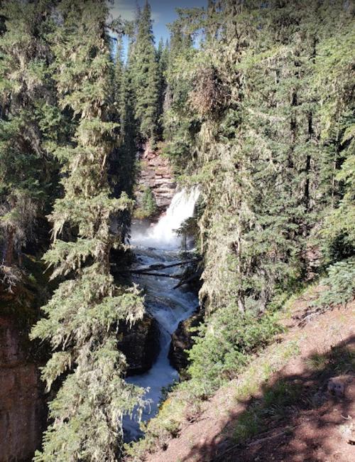 A scenic view of a waterfall cascading through a forest of tall evergreen trees.