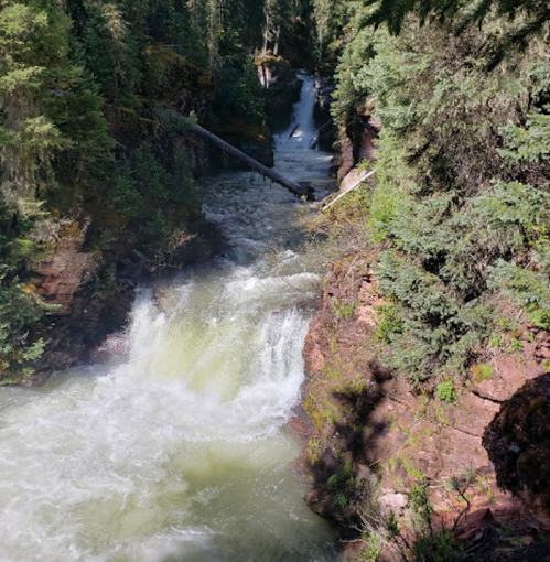 A scenic view of a waterfall cascading through a lush, green forested canyon.