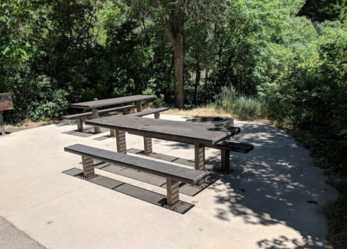 A picnic area with metal tables and benches surrounded by greenery and trees.