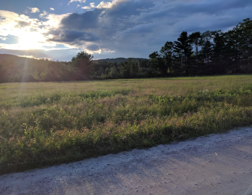 A scenic view of a grassy field under a cloudy sky, with trees and mountains in the background during sunset.