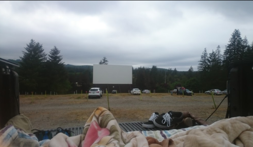 A view from the back of a truck bed at a drive-in theater, with a blank screen and parked cars in a forested area.