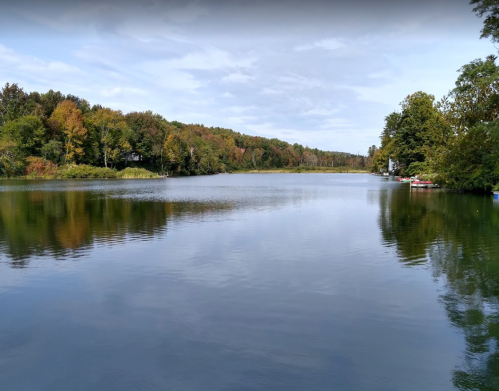 A serene lake surrounded by trees with autumn foliage, reflecting the sky and landscape.