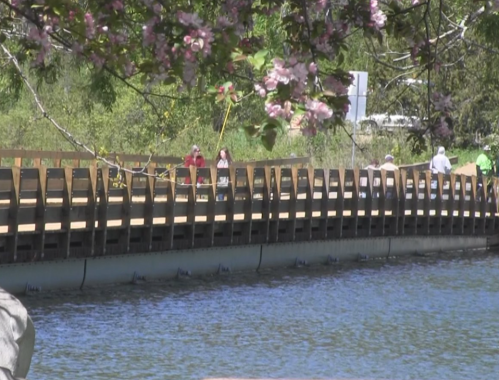 A wooden bridge spans a calm river, with people walking and trees blooming nearby.