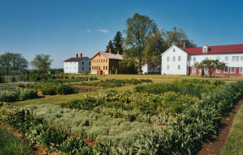 A scenic view of a garden with various plants, surrounded by historic white and yellow buildings under a clear blue sky.