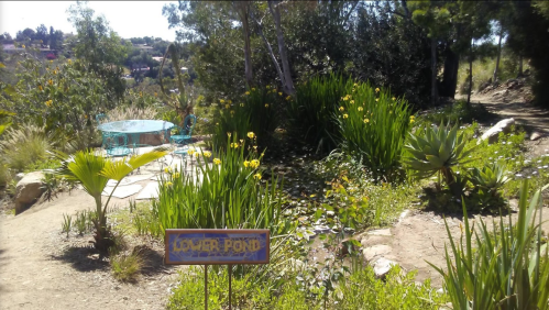 A serene garden scene featuring a pond, lush greenery, and a sign that reads "Lower Pond."