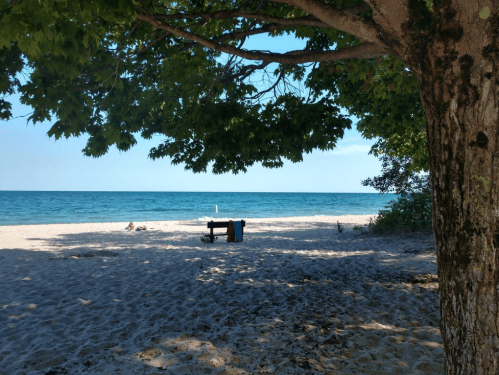 A serene beach view framed by tree branches, with soft sand and calm blue water in the background.