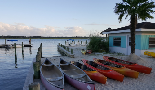 Colorful kayaks lined up on a sandy shore by a calm lake, with a palm tree and a small building in the background.