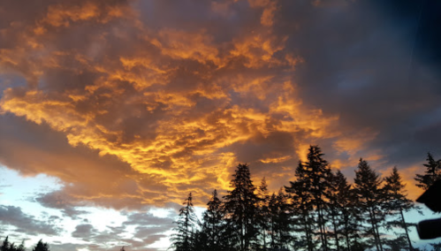 Vibrant sunset clouds in shades of orange and gold above silhouetted evergreen trees.