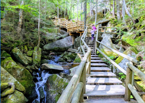 A wooden staircase leads through a forested area with rocks and a small stream, while a person stands on the steps.