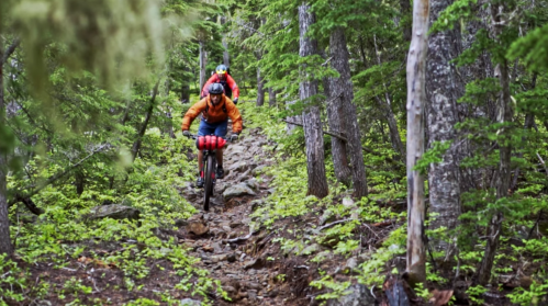 A mountain biker navigates a rocky trail through a lush green forest.