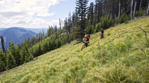 Two mountain bikers ride through a grassy hillside surrounded by trees and mountains under a blue sky.