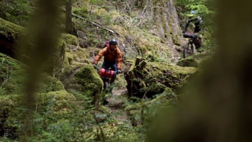 A person in an orange jacket carries a red bag while hiking through a mossy forest trail.