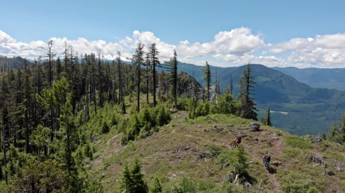 Two mountain bikers ride along a rocky trail surrounded by lush greenery and tall trees under a blue sky with clouds.