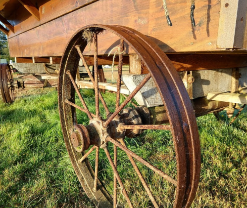 Close-up of a rusty wagon wheel resting on grass, showcasing its wooden structure and metal spokes.