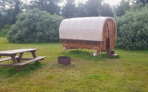 A wooden wagon with a canvas cover sits on grass near a picnic table and fire pit, surrounded by greenery.