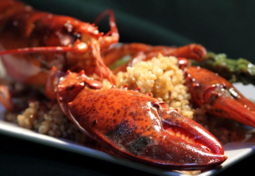 A close-up of a cooked lobster on a plate with grains and asparagus, showcasing its vibrant red color.