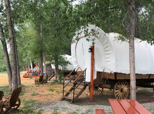 A rustic campsite with covered wagons nestled among trees, surrounded by wooden seating and gravel paths.
