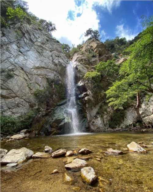 A serene waterfall cascades down rocky cliffs into a clear pool, surrounded by lush greenery and blue skies.
