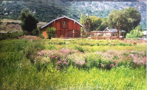 A scenic view of a farm with a red barn, surrounded by lush green fields and colorful flowers under a mountainous backdrop.