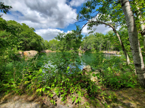 Lush greenery surrounds a tranquil lake under a partly cloudy sky, with rocks and a wooden dock visible in the background.
