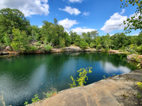 A serene, green landscape featuring a calm, blue-green pond surrounded by lush trees and a clear sky.