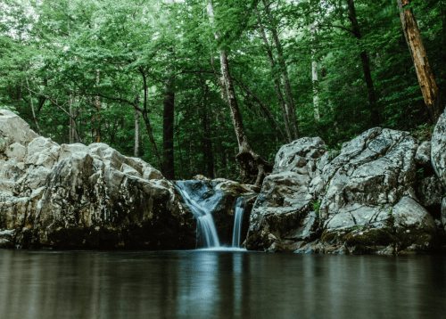 A serene forest scene featuring a small waterfall cascading over rocks into a calm pool surrounded by lush greenery.