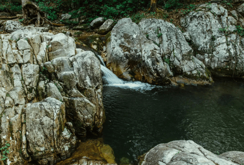 A serene stream flows over rocks in a lush, green forest setting.