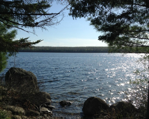 A serene lake view framed by trees, with sunlight sparkling on the water's surface and rocky shoreline.