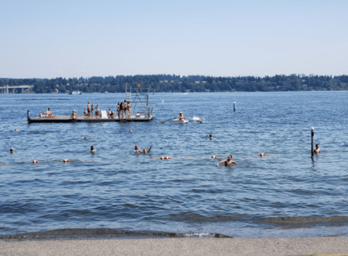 People swimming and relaxing in a lake on a sunny day, with a diving platform and distant trees in the background.