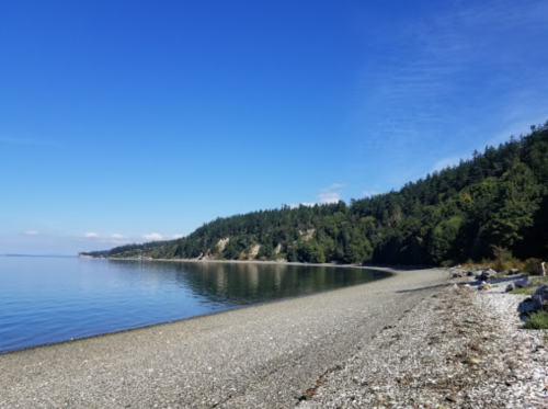 A serene beach with smooth pebbles, calm water, and a lush green forest under a clear blue sky.