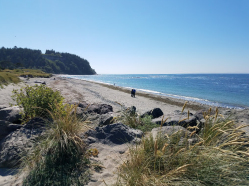 A serene beach scene with gentle waves, sandy shore, and people walking along the water under a clear blue sky.