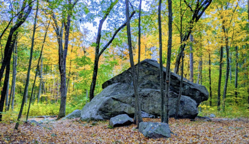 A large boulder surrounded by trees with vibrant autumn foliage in a serene forest setting.