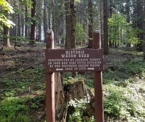 Sign marking the Historic Wagon Road, constructed in 1868, surrounded by tall trees in a forested area.