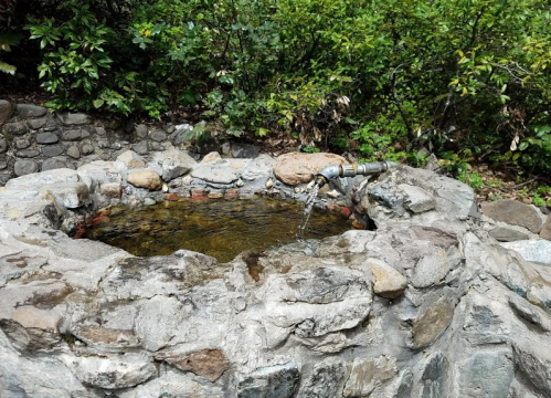 A stone well with clear water flowing from a metal faucet, surrounded by lush greenery.
