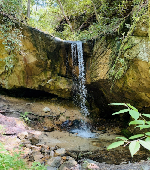 A small waterfall cascades over rocky terrain, surrounded by lush greenery and trees in a serene forest setting.