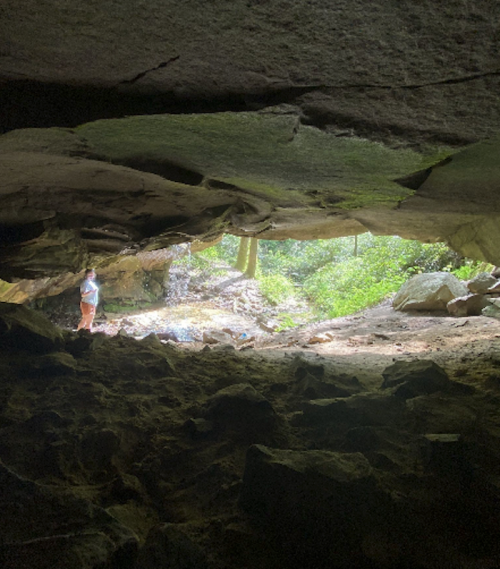 A person stands inside a cave, looking out at a lush, green landscape illuminated by natural light.