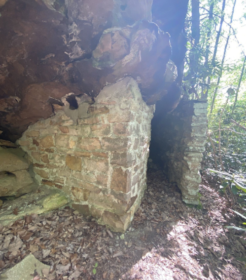 Ruins of a stone structure partially hidden by foliage, with sunlight filtering through trees in a forested area.
