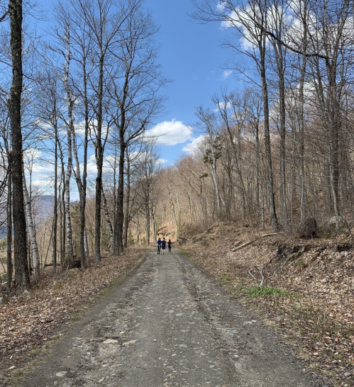 Two people walk down a dirt path lined with bare trees under a blue sky with scattered clouds.