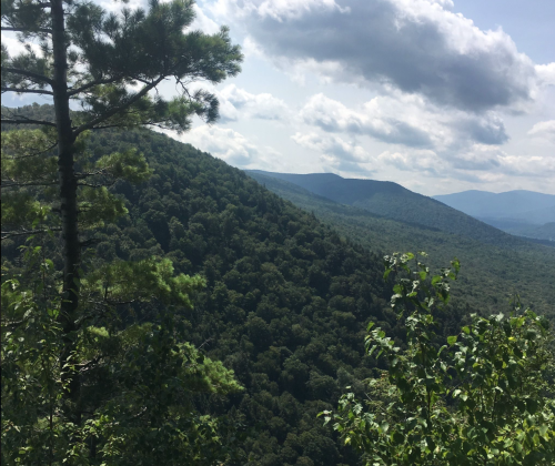 Lush green mountains under a partly cloudy sky, with trees in the foreground and rolling hills in the background.