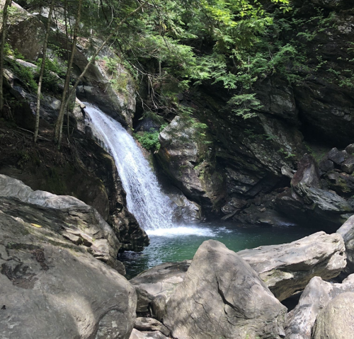 A serene waterfall cascades into a clear pool, surrounded by lush greenery and rocky terrain.