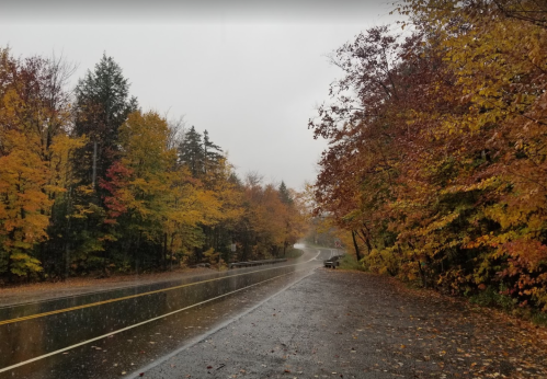 A rainy road lined with colorful autumn trees, creating a serene, misty atmosphere.