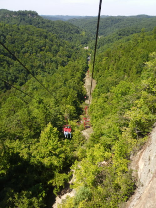 Two people ziplining over a lush green forest with hills in the background on a sunny day.