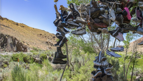 A tree adorned with various shoes hanging from its branches, set against a desert landscape and clear blue sky.