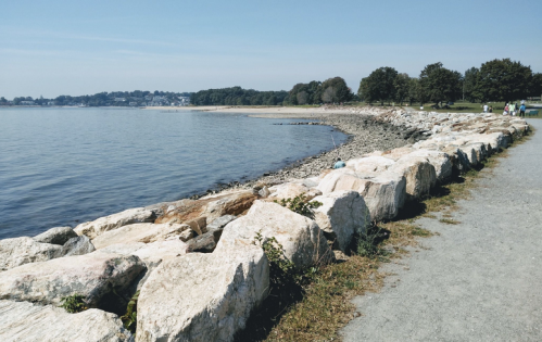 A rocky shoreline with calm water, trees in the background, and a path along the beach on a clear day.